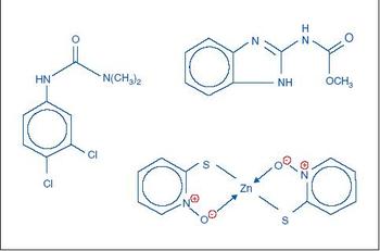 coating200902-12.JPG