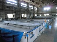 20110713-6-3.JPG