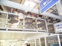 20110907-6-9.JPG