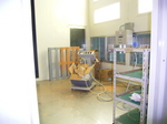 20050511-6-9.JPG