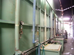 20060118-6-4.jpg