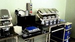 20060614-6-11.jpg