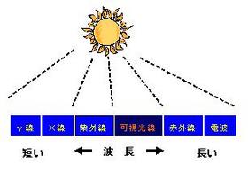 20070117-8-5.JPG