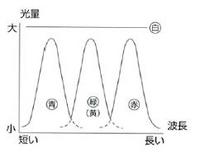 20070117-8-8.JPG