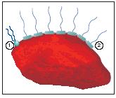 coating200810-8.JPG