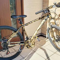 自転車のフレームも斬新なカラーに 自転車のフレームも斬新なカラーに