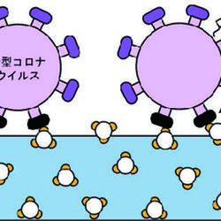 新規抗ウイルス性ナノ光触媒が新型コロナウイルスを不活化する様子