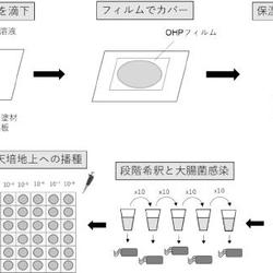 本研究で開発したスクリーニングシステムの概略図