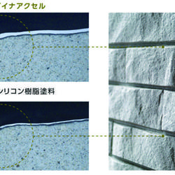 顕微鏡による断面画像