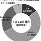 日本ペイントHD地域別売上収益