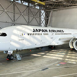 リブレット塗装旅客機（ボーイング787-9型）.JPG