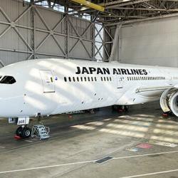 リブレット塗装旅客機（ボーイング787-9型）