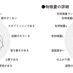 TOPPAN02