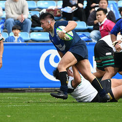 大塚刷毛製造BRUSHES04