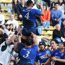 大塚刷毛製造BRUSHES01