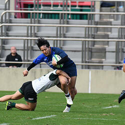 大塚刷毛製造BRUSHES05