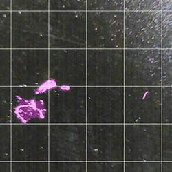 写真2：撮像画面。色が付いている部分をAIがゴミブツとして検出